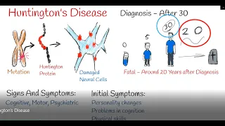 Huntington's Disease - Symptoms, mechanism, and treatment.  Huntington's Chorea