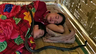 Mother and daughter sleeping were attacked by poisonous snakes in the night | Chuc Thi Hong