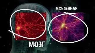 Вселенная живой организм. А мы лишь клетки... Внутри нас целая вселенная...