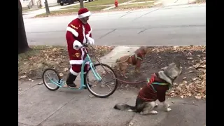 Santa Dog Scooter Ride 2023