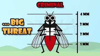 World Mosquito Day | Mosquito Flying Animation