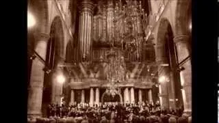 J. S. Bach: Christmas Oratorio, BWV 248, Part II: Sinfonia -- New Colegium & Laurenscantorij