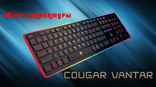 ⌨Игровая клавиатура Cougar Vantar⌨ Обзор от LOUDPLAY