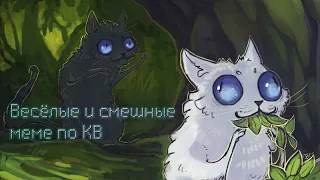 Коты-воители: ✨ сборник смешных и весёлых меме ✨