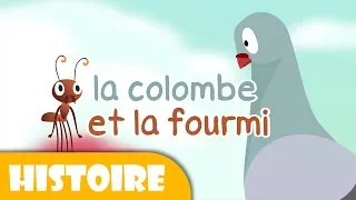 la colombe et la fourmi - Histoires avant de s'endormir - Histoire pour Enfants