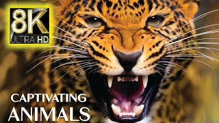 Captivating Animal in 8K ULTRA HD (60fps) - Best Beautiful animal with Real Sounds & Relaxing Nature