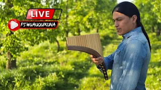 Music from the town #livestream #beautiful #music #fabiansalazarwuauquikuna