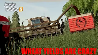 GLEANER FINALLY GOT TO SEE SOME GOOD WHEAT | FS19