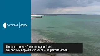 Морська вода в Одесі не відповідає санітарним нормам, купатися – не рекомендують