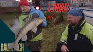 Von Brücke zu Brücke: Auf Polder-Zander mit Matze Koch & Birger Domeyer