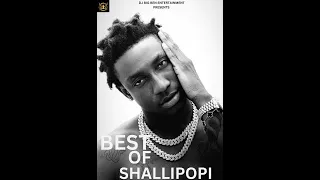 BEST OF SHALLIPOPI MIXTAPE BY DJ BIG BEN #shallipopi #afrobeat #afromusic #viral #afrobeat #9jamusic