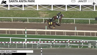 King Guillermo galloped at Santa Anita Park on January 27th, 2021.