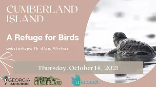 Cumberland Island: A Refuge for Birds