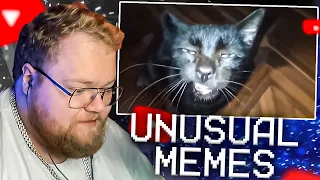 T2X2 СМОТРИТ - UNUSUAL MEMES COMPILATION V240