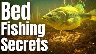 Start Catching MORE BASS Off The Bed With These 3 Tactics (The Bass Spawn)