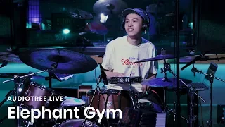 Elephant Gym - Finger | Audiotree Live