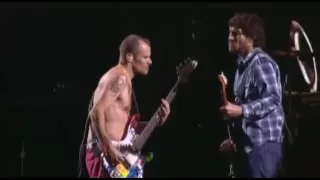 Red Hot Chili Peppers - Californication Intro Jams 3