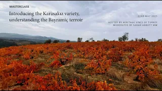 Introducing the Karasakız variety, understanding the Bayramiç Terroir.