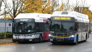 Buses in Vancouver, BC (Volume Twenty-Four)