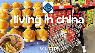 living in china | chinese beef noodle soup, sam’s club shopping, baking chinese new year cookies