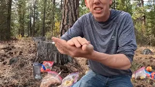 Survival Camping with 4 yr Old  Trapping Knapping Friction Fire  Campfire Cookin     17