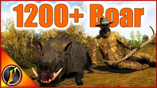 Our Biggest Wild Boar EVER in theHunter Classic! | 1200+ Score!!