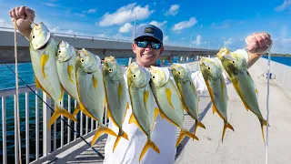 World's BEST Fishing Spot... Catch Clean Cook (Florida Keys Bridge Fishing)