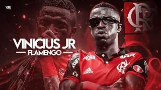 Vinicius Jr ●King of Dribbling Skills● Flamengo