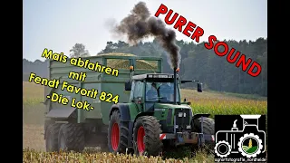 FENDT Favorit 824  -Die Lok-  Mais abfahren mit purem Sound!