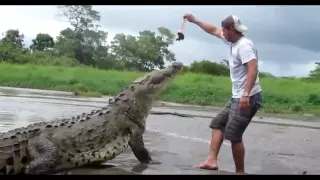 CROCODILE FEEDER EATEN BY CROCODILES