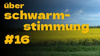 #16 Beobachtungen zu Schwarmstimmung, Zustand VSH Königinnen und Probleme mit der Sanierung