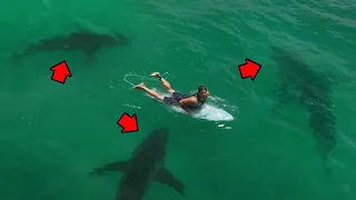 Eaten Alive By Pack of Sharks MARATHON!