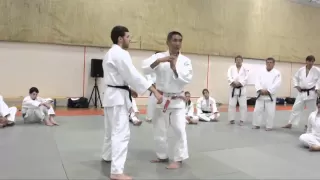 Katanishi Seoi Nage 1