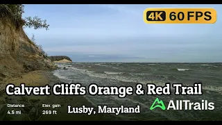 4K Calvert Cliffs Orange & Red Trail in Lusby, Maryland