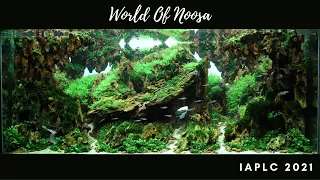 IAPLC 2021 Contest Tank | "World Of Noosa" | 120 x 60 x 50cm | Aquascape
