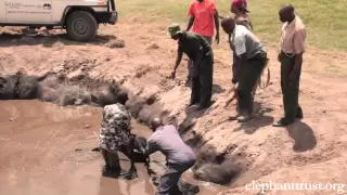 Five Days Old Baby Elephant Rescued from Muddy Pond