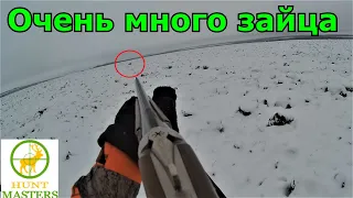 ЛУЧШАЯ ОХОТА НА ЗАЙЦА В СЕЗОНЕ 2019/2020!!! Охота на лису/ /Fox hunting / Отдохнули от души