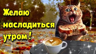 🌞☕Добре утро благословенного дня!💗🌞Красивое музыкальное пожелание