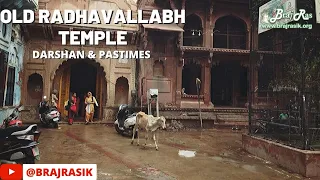 Old Radha Vallabh Temple, Vrindavan - Darshan and Pastimes