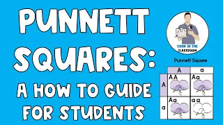 Punnett Squares:  A Student How to Guide