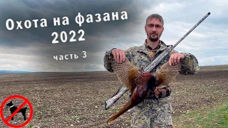 Охота на фазана 2022/ Третья часть приключений