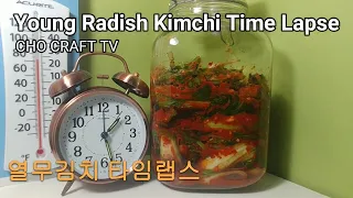 Young Radish (Yeolmu) Kimchi Fermentation Time Lapse. 열무김치 발효 타임랩스