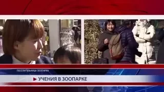 Учения в зоопарке Токио