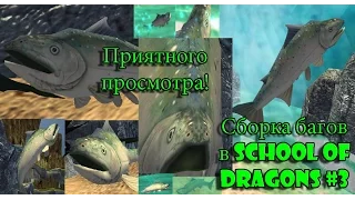 Сборка Багов в School of Dragons #3