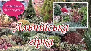 Альпійська гірка.Прибирання після окупації.НАВІЩО мульчувала?Рослини які витримали НЕДОГЛЯД.Сад.Дача