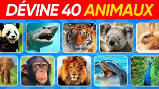 Devine 40 ANIMAUX Terrestre en Seulement 6 secondes | Quiz de Culture Générale | Buzz Quiz