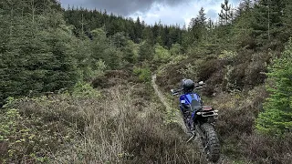 Don't go down what you can't get back up - Yamaha Tenere 700 Adventure