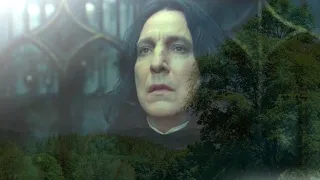 Солнечное лето || Северус Снейп || Severus Snape