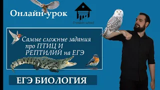 Практика: Рептилии и Птицы |ЕГЭ БИОЛОГИЯ|Freedom|