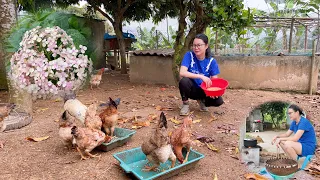 Full video: 30 days of taking care of vegetable and poultry gardens, enjoying a peaceful life